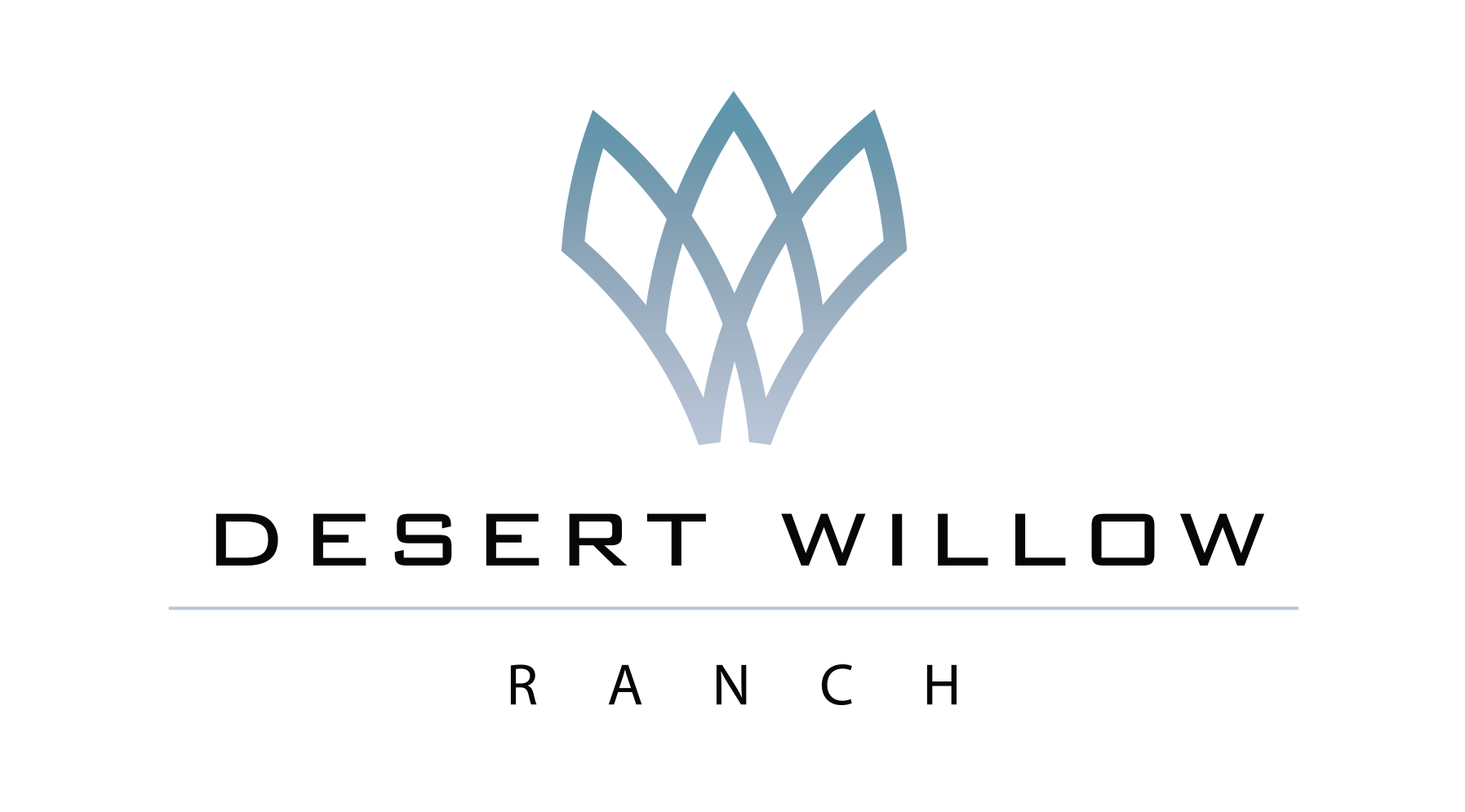 DESERT WILLOW Logo Final